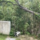 스테이비욘드 | 여름휴가가 아니더라도 휴식하고 싶을 때, 양양 감성 숙소 스테이비욘드