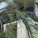 저지안트레 이미지