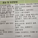 구갈로2L-2 | 초산모 31주 차 임산부의 감기 후기