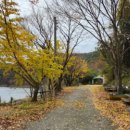 화악산장 이미지