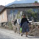 자명목장 이미지