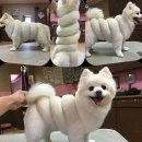 오늘도꽈배기 이미지