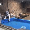 김해합동가스 | 쏟아지는 ‘직장 내 갑질’ 폭로.. ‘개통령’은 어디에 있나?