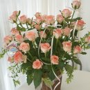 로즈플래닛 이미지