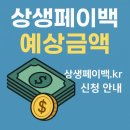 상생페이백 예상금액 이미지