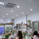 수 플라워