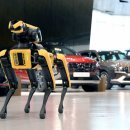 현대차 계열 로봇 기업, 유럽시장 본격 진출..과연 경쟁력은? 이미지