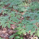 홀뫼농장 이미지