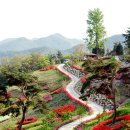 법성포 숲쟁이공원 이미지