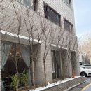 구반포역 | [구반포역 맛집] 오스테리아 오티보 / 분위기 좋은 브런치집 방배 맛집 양식