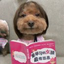 ㈜케이티에스 | 리눅스 마스터 2급 합격 후기