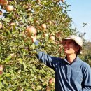 영락농원 이미지