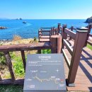 평화대공원 | 제주 송악산 둘레길 코스 제주 올레길 코스 바다 보며 걷는 길 추천