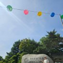 다원화물 | [경주 여행] 불국사-부처님오신날에 불국사 간 후기(+불국다원)