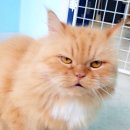 권광로91번길 이미지