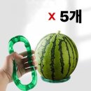 올라 쇼핑하우