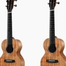 힐링 우쿨렐레 이미지