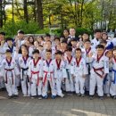 JMT 연세정무태권도 줄넘기스쿨 마곡점 이미지