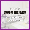 원종금맥한의원 네이버블로그