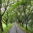 죽림삼거리 이미지