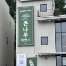 베이커리카페소박한 | 큰나무제빵소 : 빵좋아한다면 한번쯤! 청주베이커리카페 방문후기