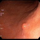 서울베스트의료의원 이미지