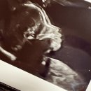 신강상회 | 2025-10(푸둥이들과 가을 단풍놀이)