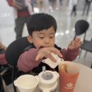 ㈜특별한렌트카 (김포영업소) | 2박3일 여행 일정 1일차 | 롯데호텔 제주 숙박 | 렌트카 정보 | 아시아나 항공 좌석 팁 | 뽀로로앤타요...