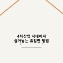 칼라시대 이미지