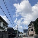 영수공원길 이미지