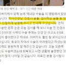 경기성모안과