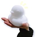 대왕오리 이미지