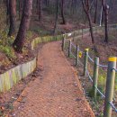 염성해수욕장 이미지