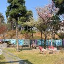 초록셀프세차 이미지