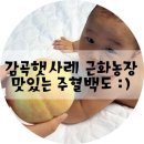 근화농장 네이버블로그