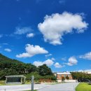 완주힐링로드시티투어 1코스 | 4월 5월 가볼만한곳 완주 모악산 벚꽃로드 오성 한옥마을 송광사 볼거리 1박2일 미식여행 로망스투어