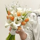 배곧9-51 | 다이어트 일기 #9 처음으로 앞자리 4가 되다 !!! 배곧 다이어트 한의원에서 쉽고 편하게 체중감량 후기