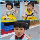 청록태권도장 이미지