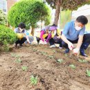 중앙동120 이미지