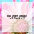 리뷰티왁싱 에스테틱