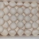 송이농장(2) 이미지