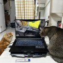 루다컴퍼니 이미지