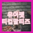 유어펫 일산본점 이미지