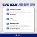 세종안과 이미지