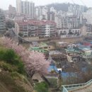 자산동119 이미지