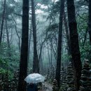 시크릿강릉