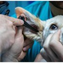 인하병원 이미지