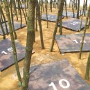 용두해수욕장숲속야영장 이미지