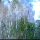 김삿갓면-20 이미지