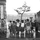 도심초등학교 이미지